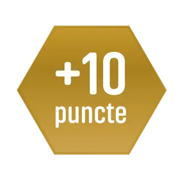 10 Puncte