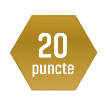 20 Puncte