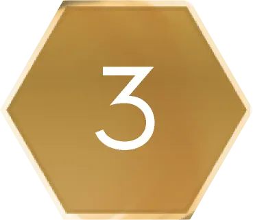 3